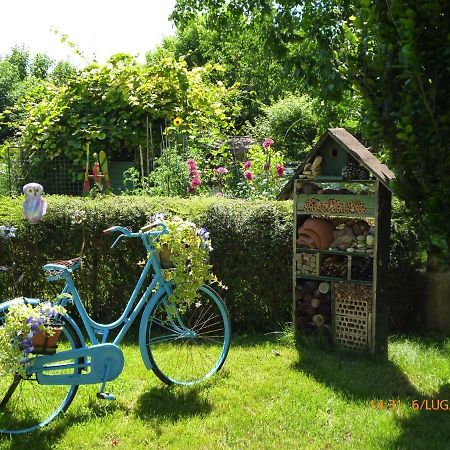 Bed & Bike Belfiore Montagnana  Exterior foto